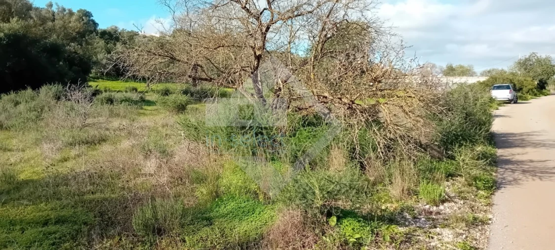 Terreno Agricola ou Rústico para Venda em Loule (São Sebastião) Foto 2