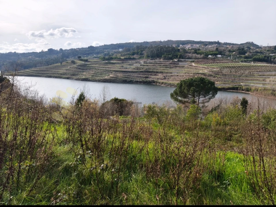 Quinta para Venda em Bem Viver Foto 2