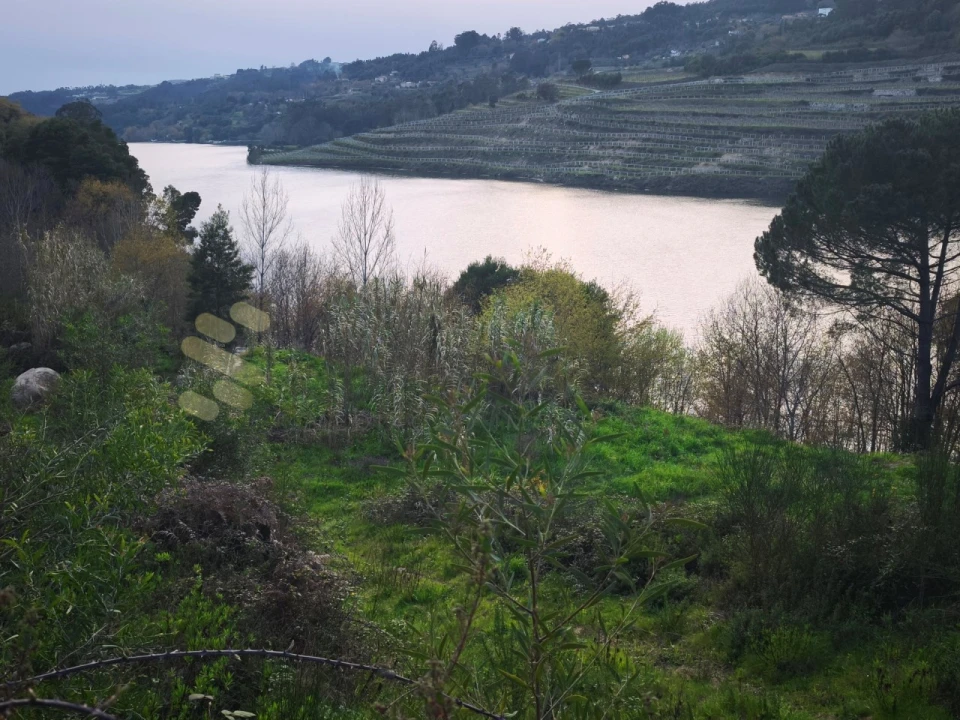 Quinta para Venda em Bem Viver Foto 3