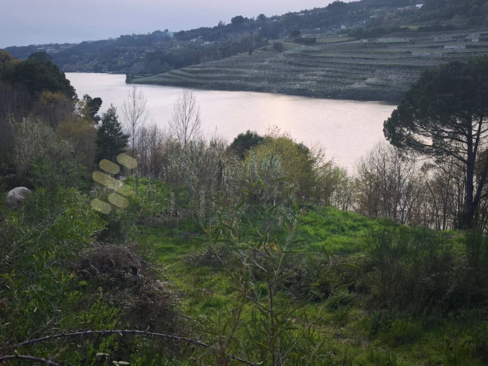 Quinta para Venda em Bem Viver Foto 12
