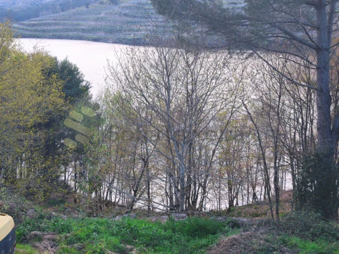 Quinta para Venda em Bem Viver