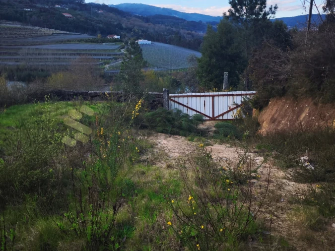 Quinta para Venda em Bem Viver Foto 6