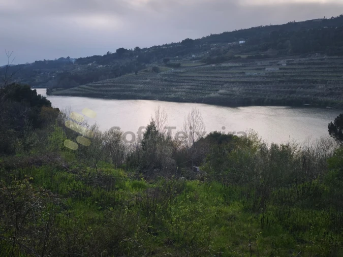 Quinta para Venda em Bem Viver Foto 8