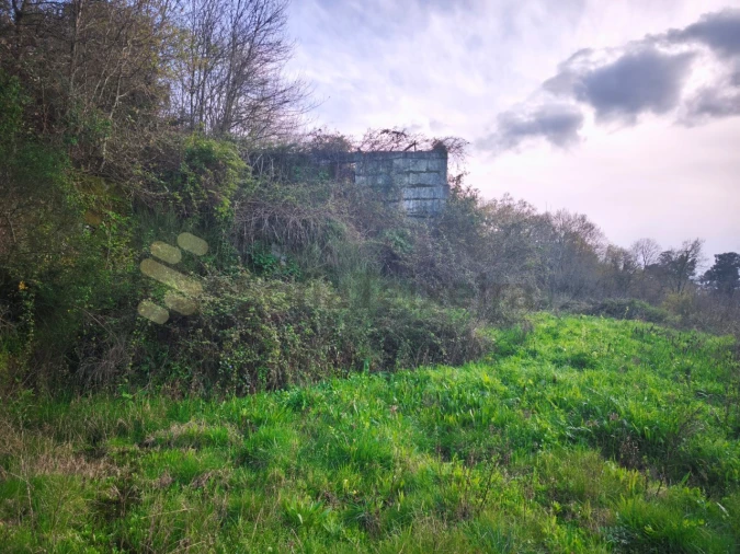 Quinta para Venda em Bem Viver Foto 10