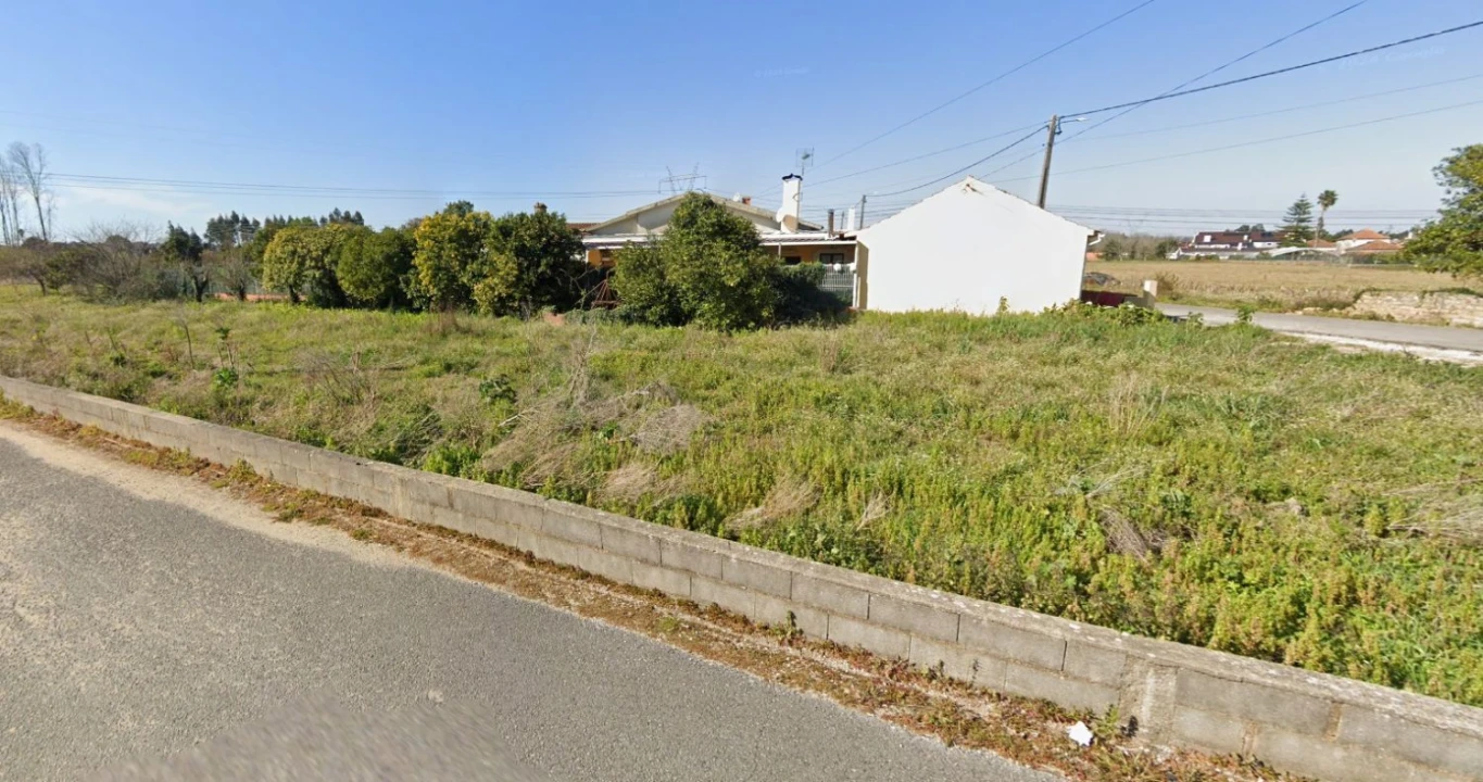 Terreno Agricola ou Rústico para Venda em Oliveira do Bairro Foto 2