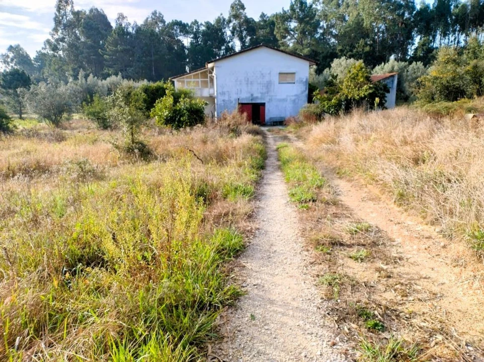 Moradia T4 para Venda em Casal Comba Foto 19