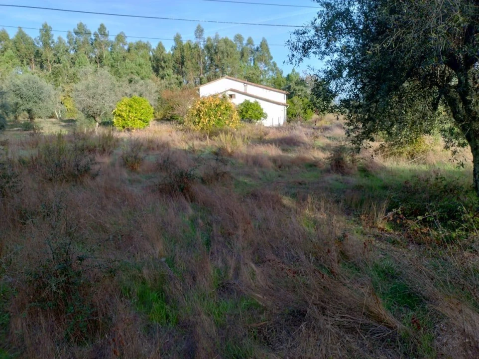 Moradia T4 para Venda em Casal Comba Foto 21