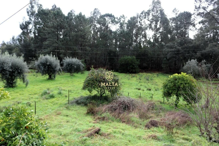 Moradia T4 para Venda em Casal Comba Foto 13