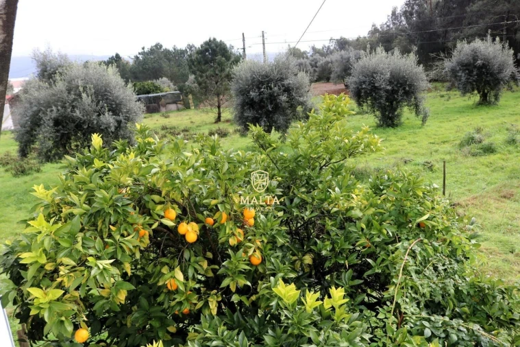 Moradia T4 para Venda em Casal Comba Foto 15