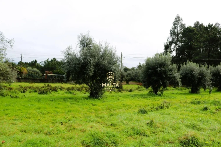 Moradia T4 para Venda em Casal Comba Foto 16