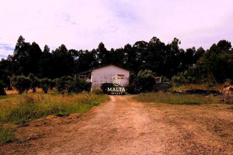 Moradia T4 para Venda em Casal Comba Foto 2