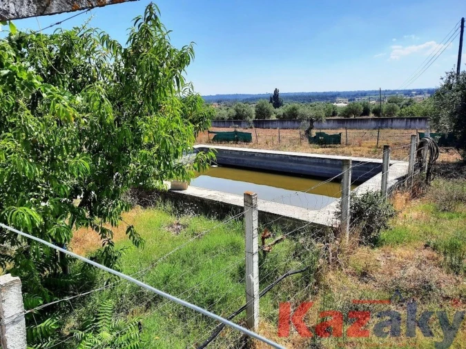 Moradia T5 para Venda em São Pedro de Tomar Foto 4