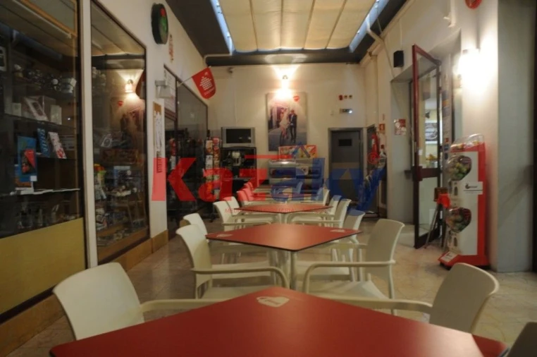 Negócio para Venda em Abrantes (São Vicente e São João) e Alferrarede Foto 50