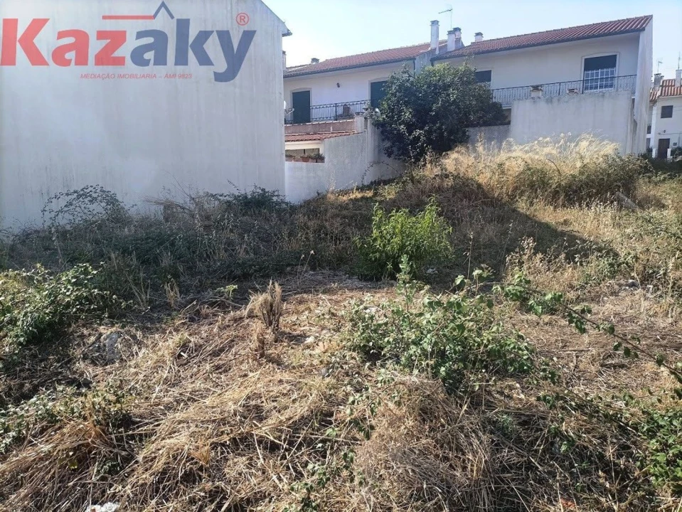 Terreno Agricola ou Rústico para Venda em Abrantes (São Vicente e São João) e Alferrarede Foto 5