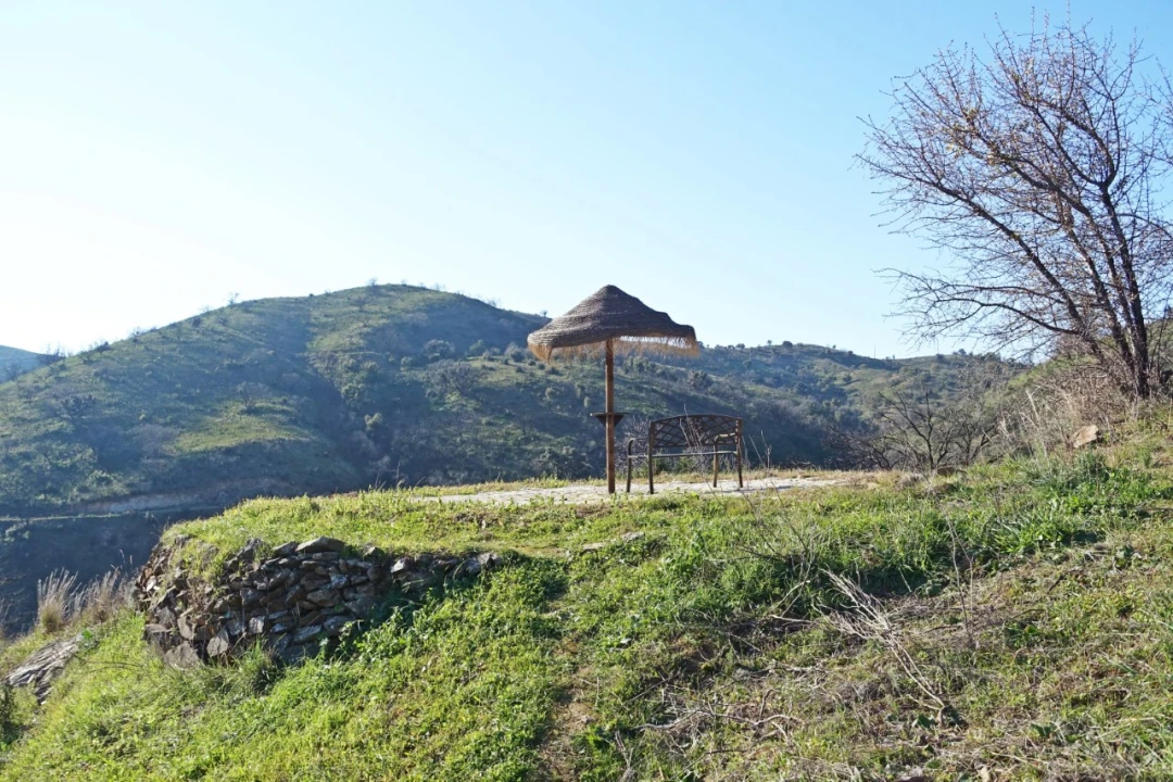 Quinta T2 para Venda em Santa Catarina da Fonte do Bispo Foto 13