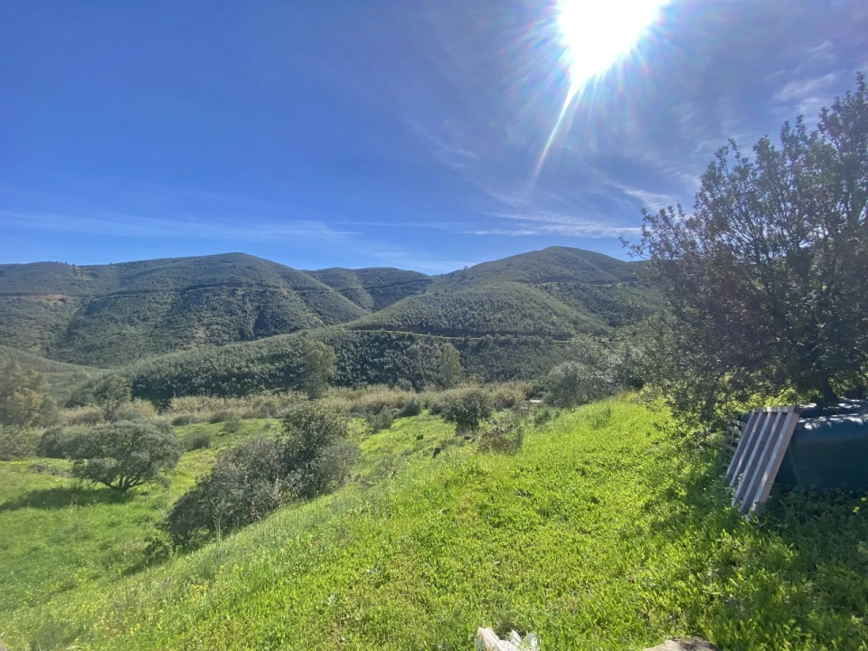 Quinta T2 para Venda em Santa Catarina da Fonte do Bispo Foto 14