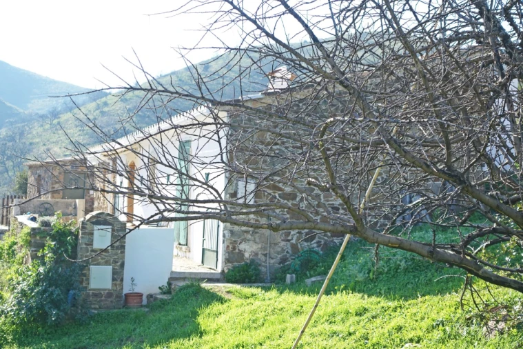 Quinta T2 para Venda em Santa Catarina da Fonte do Bispo Foto 12