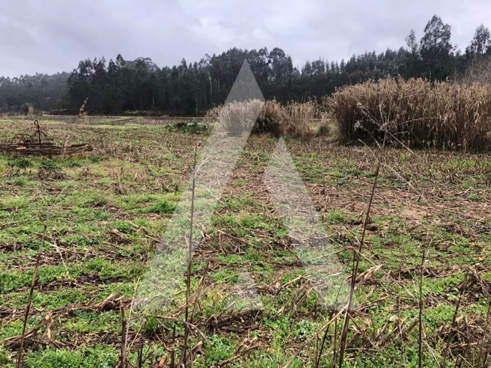 Terreno para Venda em Amoreira da Gândara, Paredes do Bairro e Ancas Foto 1