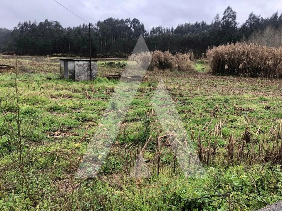 Terreno para Venda em Amoreira da Gândara, Paredes do Bairro e Ancas Foto 2