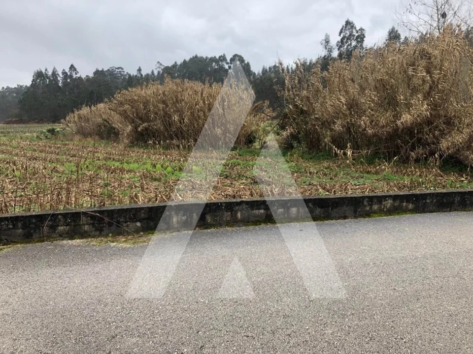 Terreno para Venda em Amoreira da Gândara, Paredes do Bairro e Ancas Foto 3