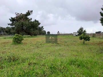 Terreno para Venda em Palmela