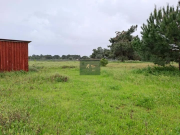 Terreno para Venda em Palmela