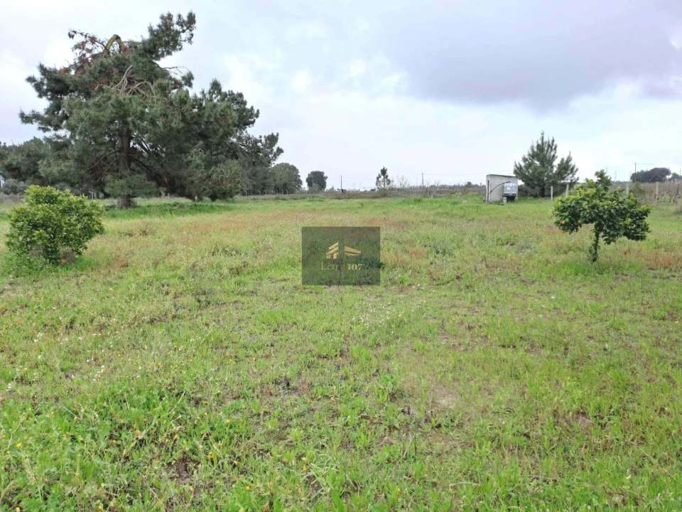 Terreno para Venda em Palmela Foto 2