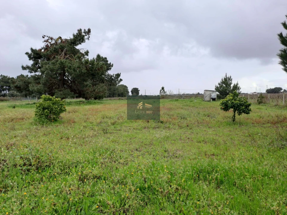 Terreno para Venda em Palmela Foto 5