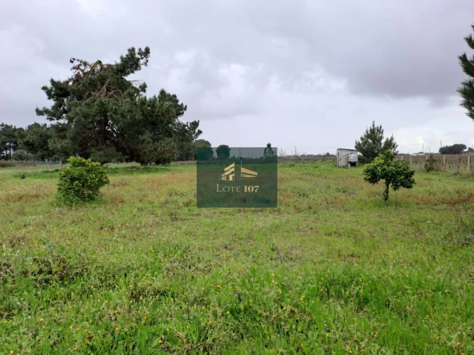 Terreno para Venda em Palmela Foto 8