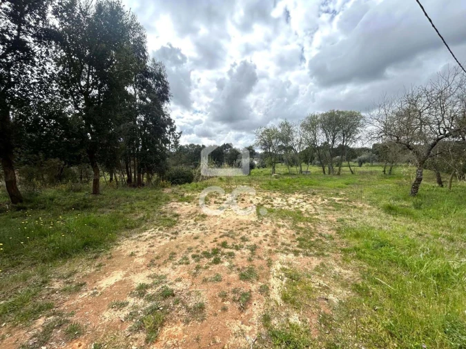 Terreno para Venda em Parceiros e Azoia Foto 16
