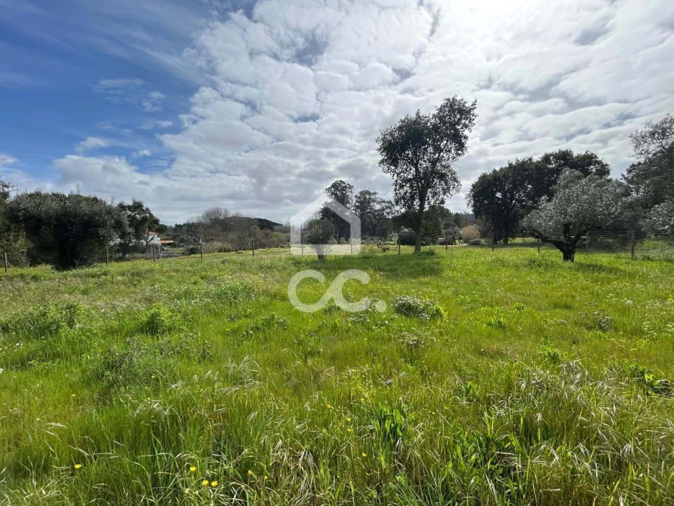 Terreno para Venda em Parceiros e Azoia Foto 11
