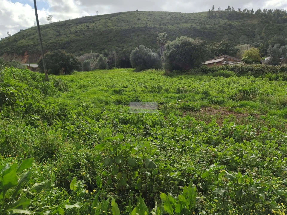 Quinta T4 para Venda em Marmelete Foto 9