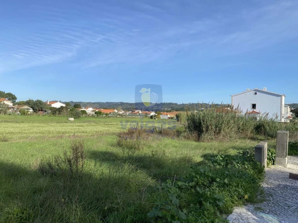 Terreno para Venda em Tornada e Salir do Porto Foto 3