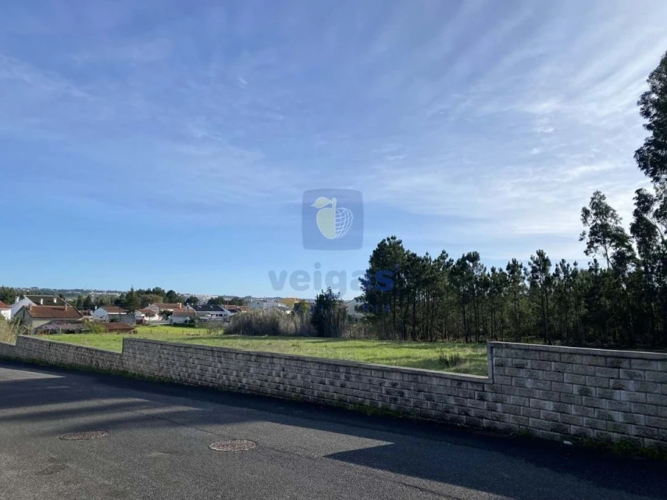 Terreno para Venda em Tornada e Salir do Porto Foto 5