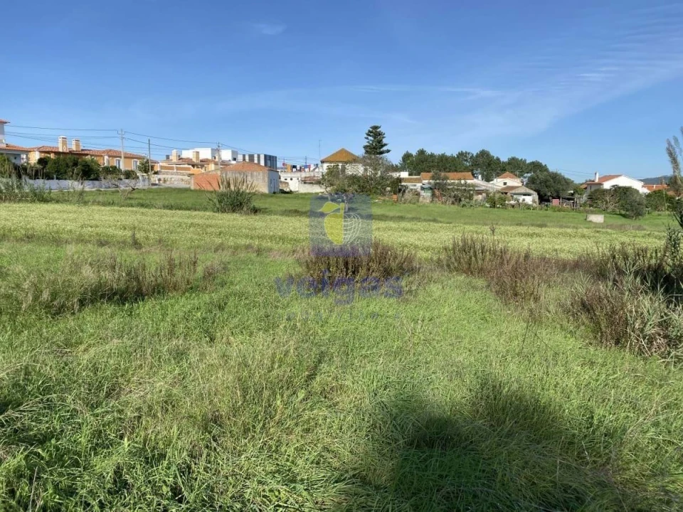 Terreno para Venda em Tornada e Salir do Porto Foto 11