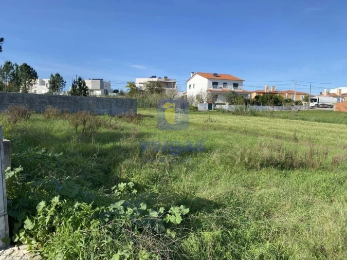 Terreno para Venda em Tornada e Salir do Porto Foto 10