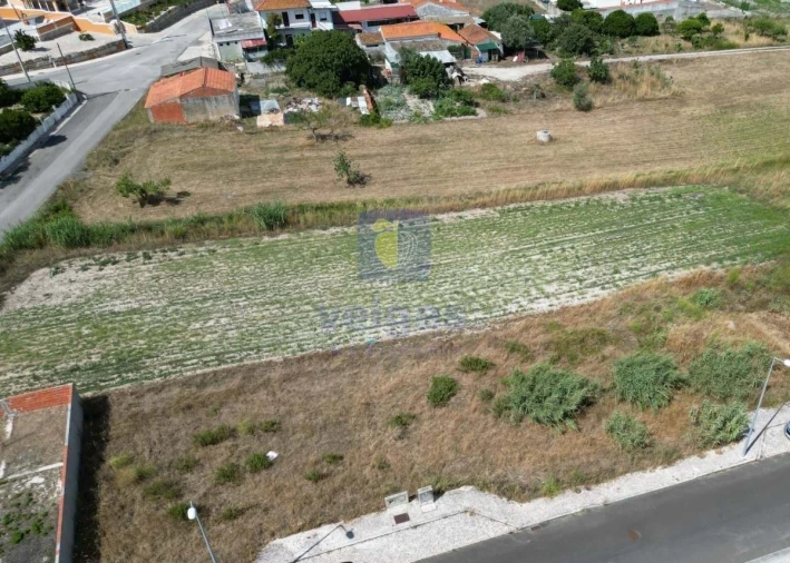 Terreno para Venda em Tornada e Salir do Porto Foto 1