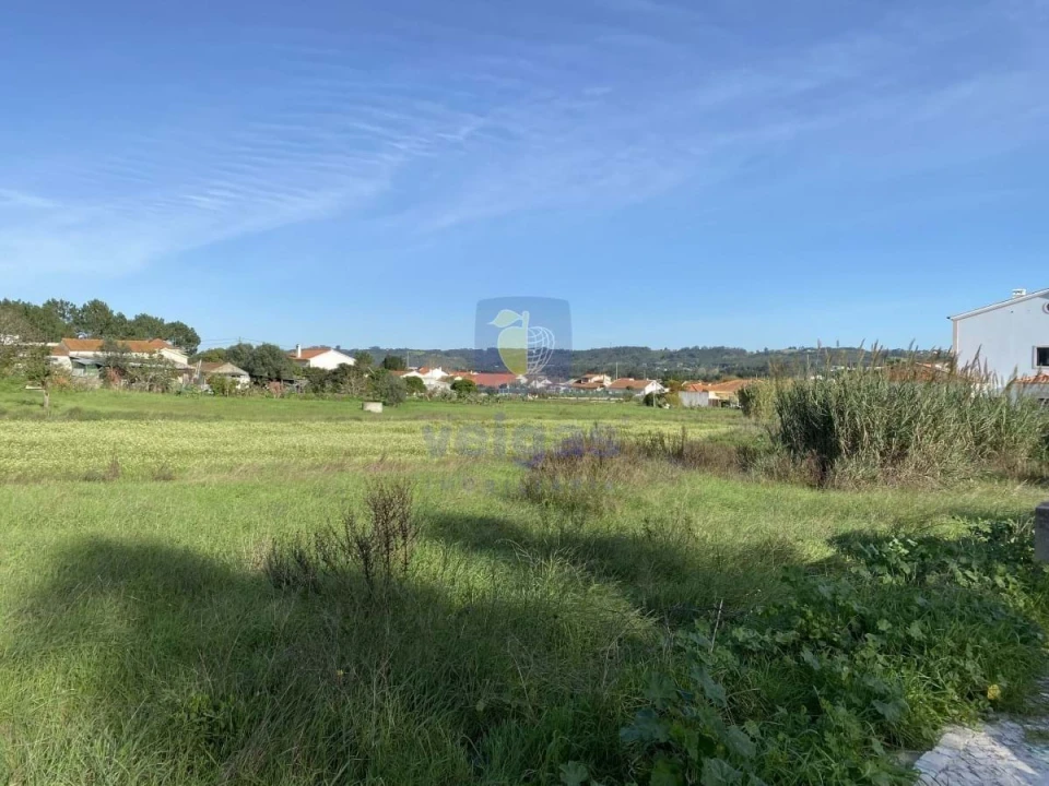 Terreno para Venda em Tornada e Salir do Porto Foto 9