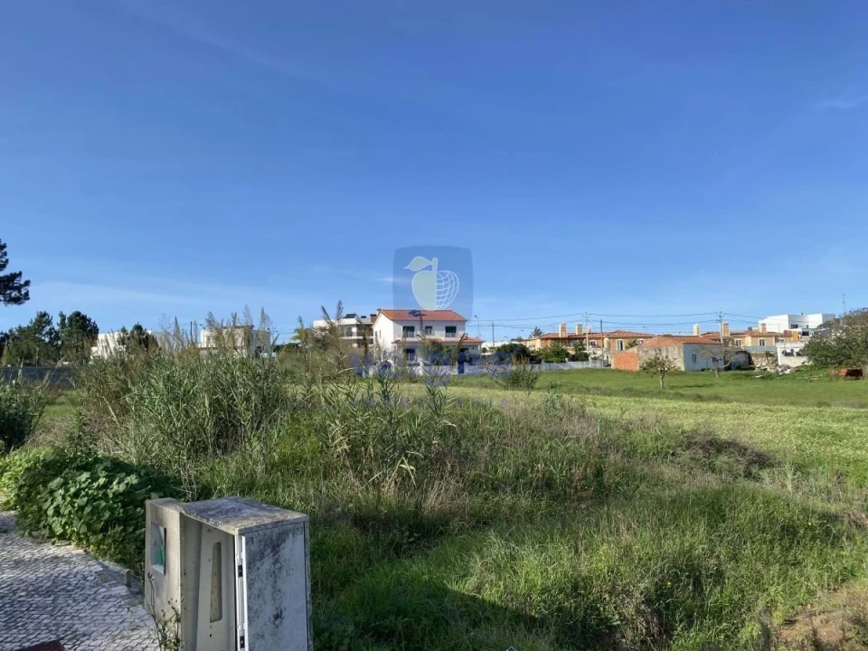 Terreno para Venda em Tornada e Salir do Porto Foto 6