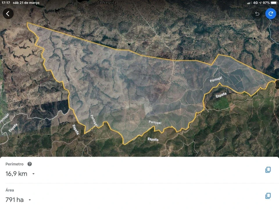 Quinta para Venda em Santo Agostinho e São João Baptista e Santo Amador Foto 6