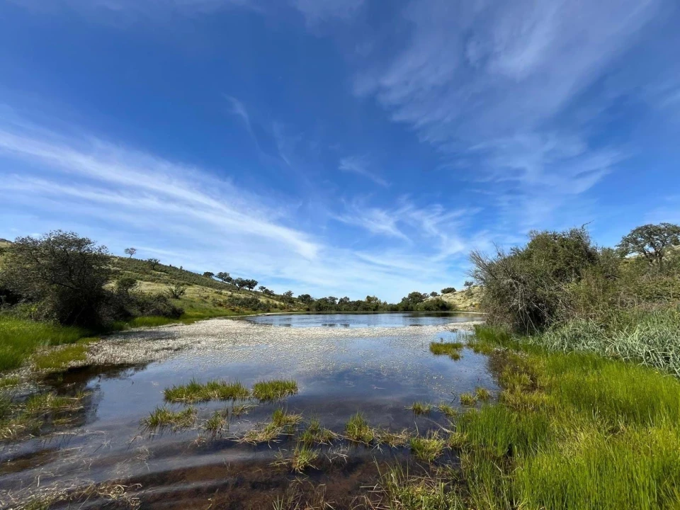 Quinta para Venda em Santo Agostinho e São João Baptista e Santo Amador Foto 10
