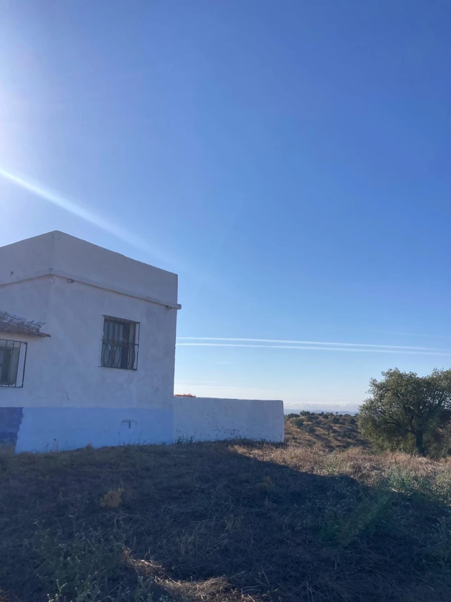 Quinta para Venda em Santo Agostinho e São João Baptista e Santo Amador Foto 22