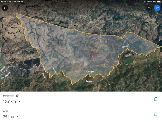 Quinta para Venda em Santo Agostinho e São João Baptista e Santo Amador Foto 6