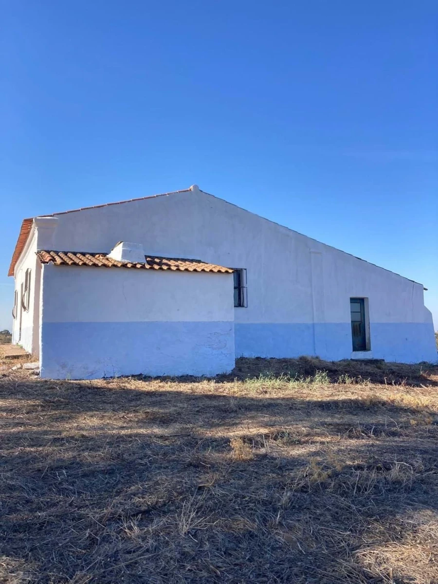 Quinta para Venda em Santo Agostinho e São João Baptista e Santo Amador Foto 11