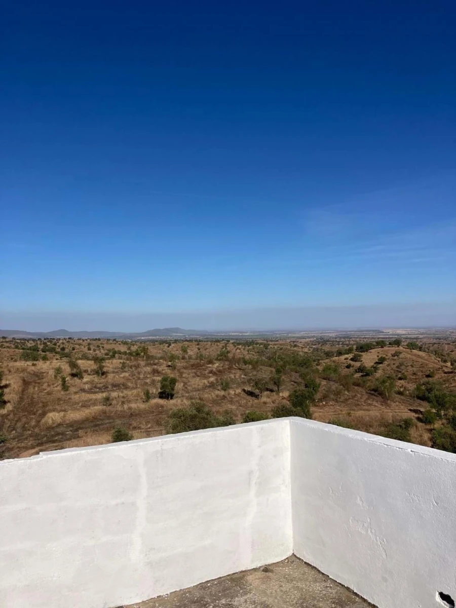 Quinta para Venda em Santo Agostinho e São João Baptista e Santo Amador Foto 18