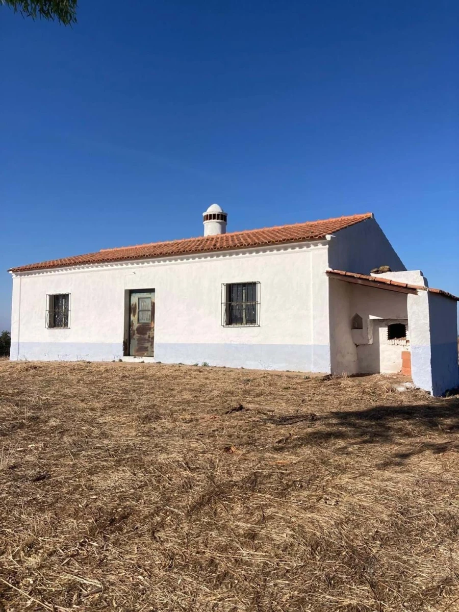 Quinta para Venda em Santo Agostinho e São João Baptista e Santo Amador Foto 4