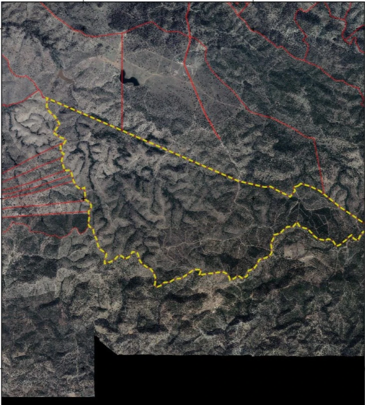 Quinta para Venda em Santo Agostinho e São João Baptista e Santo Amador Foto 23