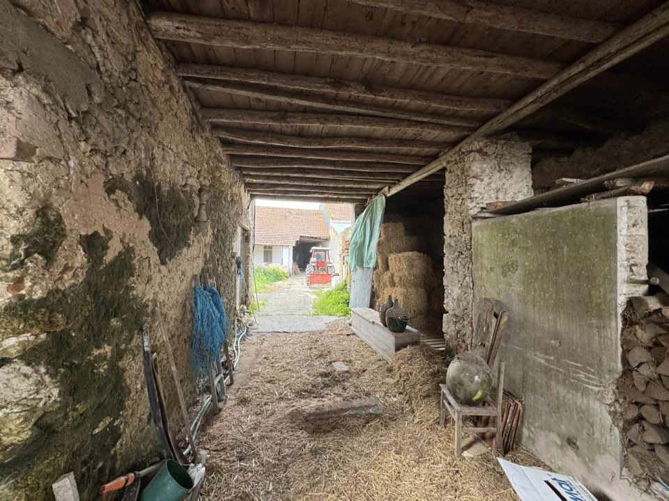 Moradia T4 para Venda em Alqueidão Foto 28