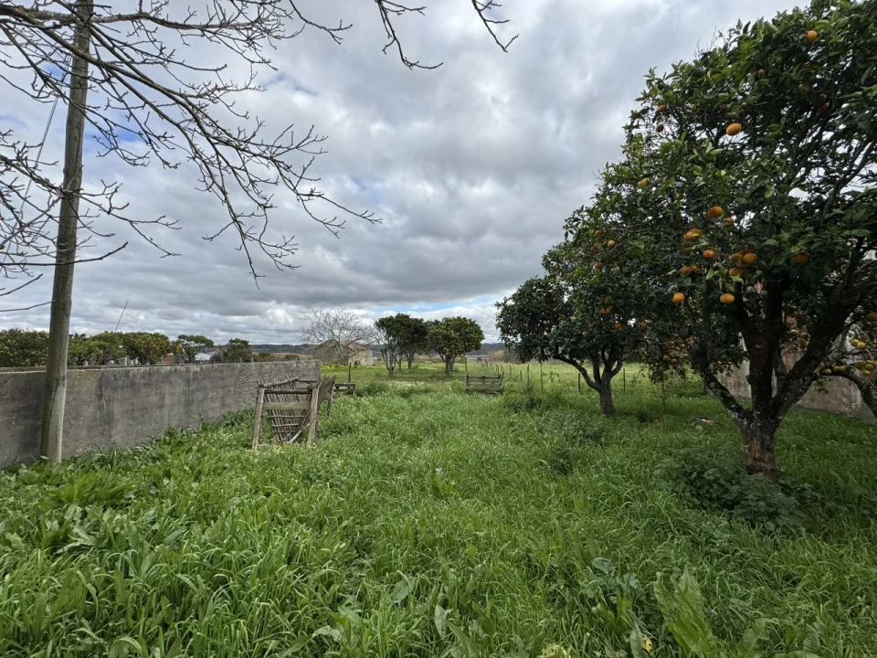 Moradia T4 para Venda em Alqueidão Foto 34