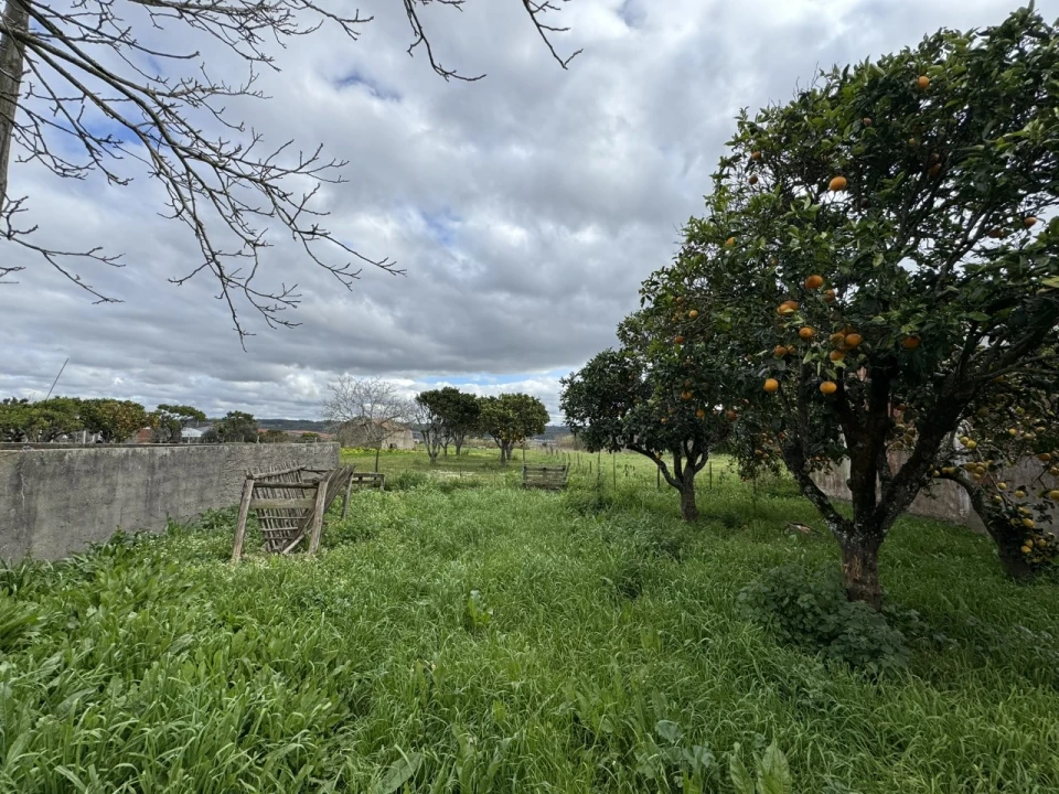 Moradia T4 para Venda em Alqueidão Foto 35